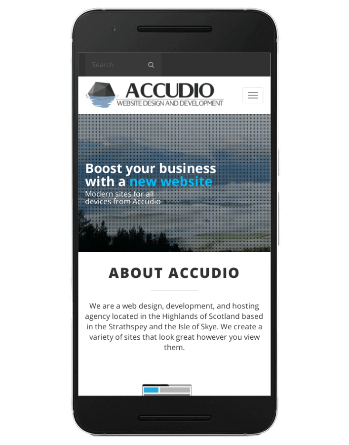 Accudio.com as seen on a mobile phone